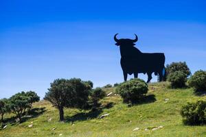ein typisch schwarz Stier entlang das Spanisch Straßen foto
