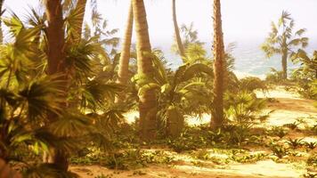 ein Aussicht von ein Strand mit Palme Bäume und das Ozean im das Hintergrund foto