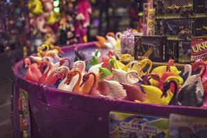 rovigo Italien 25 Oktober 2022 Gans Angeln Detail beim das Kirmes foto