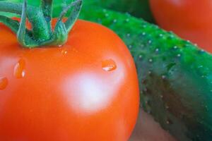 Tomate und Gurke Nahansicht foto