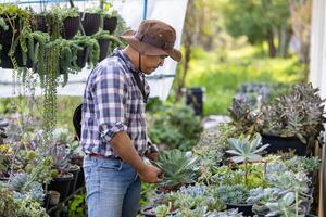 asiatisch Gärtner ist Arbeiten Innerhalb das Gewächshaus voll von saftig Pflanzen Sammlung während Überprüfung unter Blatt zum Pest und Krankheit zum Zier Garten und Freizeit Hobby foto