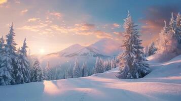 unglaublich Winter Landschaft mit schneebedeckt Kiefer Bäume im eisig Morgen. tolle Natur Landschaft im Winter Berg Schlucht. genial natürlich Hintergrund. Sanft Licht Wirkung. hoch Qualität Foto