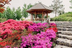 japanisch Garten im krasnodar Park. traditionell Park, blühen Blumen foto