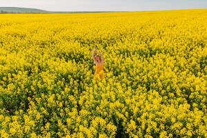 Antenne Aussicht von Frau beim Blühen Raps Feld. Gelb Blumen und glücklich jung Frau foto