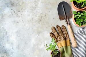 Zubehör zum Gartenarbeit. Garten Schaufel, Handschuhe und Sämlinge auf ein Licht Hintergrund mit Kopieren Raum. Zuhause Gartenarbeit foto