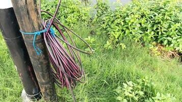 ein Spule von Kabel gebunden zu ein Pole mit ein Grün Gras Hintergrund foto