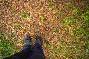 Punkt von Aussicht von ein Mann oder Frau suchen Nieder beim Sandalen Stehen auf Gras und trocken Pflanzen mögen Herbst zum Hintergrund und Kopieren Raum foto