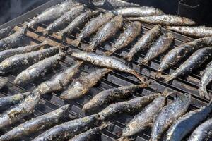 selektiv Fokus, frisch Sardinen gegrillt auf ein holzbefeuert Grill foto