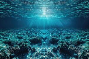 tief Meer unter Wasser Fachmann Werbung Essen Fotografie foto
