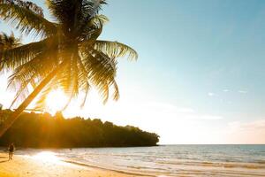 schöner tropischer sonnenuntergangstrand mit palme und blauem himmel für reisen in der urlaubsentspannungszeit, fotostilweinlese foto