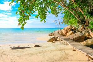 tropisch Strand Hintergrund wie Sommer- Landschaft mit hölzern Gehweg Brücke zum Reise im Urlaub entspannen Zeit foto