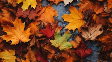 Herbst Hintergrund mit ein Menge von bunt gefallen Blätter besetzend alle das Raum foto