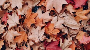 Herbst Hintergrund mit ein Menge von bunt gefallen Blätter besetzend alle das Raum foto