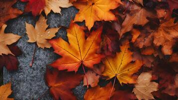 Herbst Hintergrund mit ein Menge von bunt gefallen Blätter besetzend alle das Raum foto