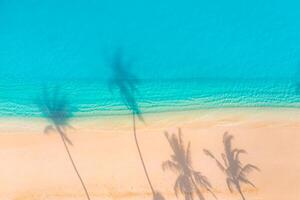 Palme Bäume Schatten auf das sandig Strand und Türkis Ozean von über. tolle Sommer- Natur Landschaft. atemberaubend sonnig Strand Landschaft, entspannend friedlich und inspirierend Strand Ferien Vorlage foto