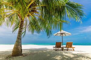 tolle Strand. romantisch Stühle Regenschirm auf sandig Strand Palme Blätter, Sonne Meer Himmel. Sommer- Urlaub Paare Urlaub. Liebe glücklich tropisch Landschaft. still Insel Küste entspannen schön Landschaft Tourismus foto