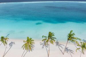 Strand Kokosnuss Palme Bäume auf exotisch Ufer Vögel Auge Sicht. Türkis Meer Wellen Weiß Sand Antenne Fotografie. Panorama- Ökologie Natur Hintergrund. tropisch Paradies Reise Landschaft exotisch Ziel foto