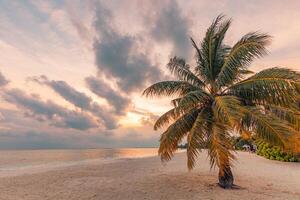 Wunderschöner Panorama-Sonnenuntergang tropischer Paradiesstrand. ruhige sommerferien oder urlaubslandschaft. tropischer sonnenuntergang strand meer palme ruhiges meer panorama exotische natur blick inspirierende meerlandschaft landschaftlich foto