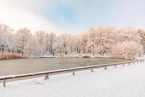 Winter Wald See mit hölzern Brücke beim Sonnenuntergang. Panorama- Landschaft und schneebedeckt Bäume, Sonnenlicht schön gefroren Fluss mit gefroren Wasser. saisonal Winter Bäume, See und Blau Himmel. eisig schneebedeckt Fluss foto