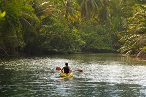 asiatisch Reisender Mann Kajak fahren auf ein schlammig klein Fluss zu sehen das Mangrove Wald, Thailand. Dort sind viele Palme Bäume. Mangrove Palme, Nipa Palme. Landschaft Reise und Tourist Konzept. foto