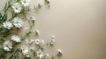 Mauer bedeckt mit Blumen. foto