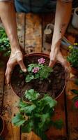 Person halten eingetopft Pflanze mit Blumen foto