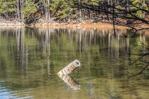 Nein aufwachen Boje im das See foto