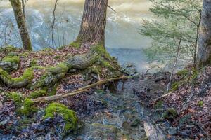 Flut Wasser fließend in ein Fluss foto