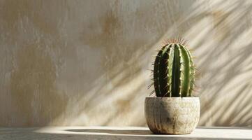 Kaktus im ein Topf auf Tabelle foto