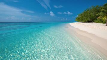 tropisch Strand mit klar Blau Wasser und Palme Bäume foto