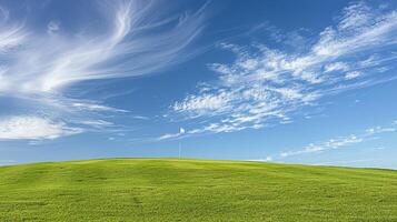 Grün Feld mit Flagge foto