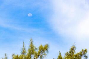 Halbmond Hälfte voll Mond im Blau Himmel während das Tag. foto