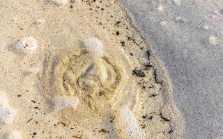 klein Mini Cenote Höhle beim Strand Ozean mit Sand Mexiko. foto