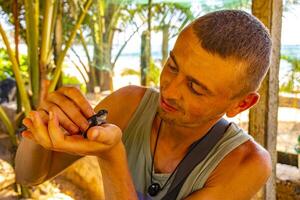 Mann hält Baby Meer Schildkröte Habichtschnabel Schildkröte Dummkopf Meer Schildkröte. foto