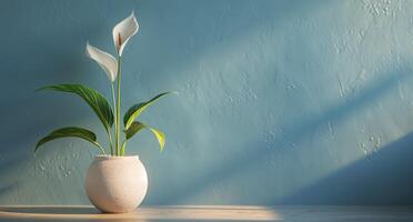 Weiß Calla Lilien im ein Vase auf ein Tabelle foto