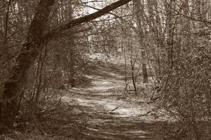 Natur Hintergrund Foto