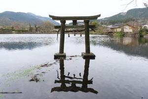 Yufuin, Japan - - Dezember 9, 2022 Winter im tenso Schrein foto