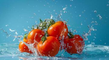 frisch Tomaten schwebend im Wasser. ein Konzept von Vegetarier Lebensstil und Vegetarier Diät foto