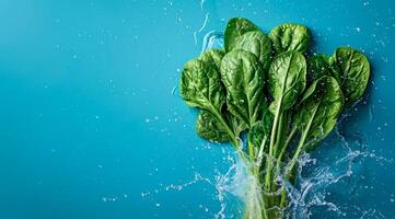 frisch Grün Spinat schwebend im Wasser. ein Konzept von Vegetarier Lebensstil und Vegetarier Diät foto