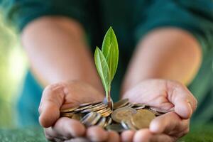 Konzept von Speichern Geld und weise Investition im Finanzen fährt das Wachstum von ein Geschäft, reflektieren das sehr Natur von Bankwesen und Münze Management. Münze, Finanzen, Wachstum, Investition, Geld, sparen. foto