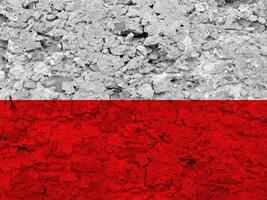 Polen Flagge mit Textur foto