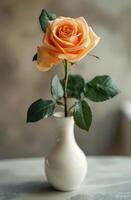 Weiß Vase mit Single Orange Rose foto