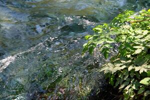 Blau Auge unter Tage Bistrite Fluss Quelle. Abonnieren im vlore Bezirk, Albanien foto