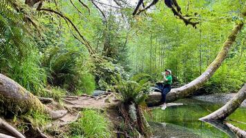 Mädchen Teenager im ein Grün T-Shirt im ein alt verlassen Wald von ein Fee Geschichte enorm Bäume bedeckt mit Moos Rucksack und Reisender Deckel macmillan Provinz Park Sieben Wunder Kanada Film Über das Vergangenheit foto