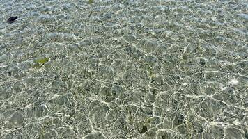 Sonnenstrahlen erstellen Wellen auf das Wasser diese ist das niedrig Tide im das Pazifik Ozean aber Dort sind setzt wo das schnell Strom ist ein schön Hintergrund zum irgendein Text Prüfung entspannen Schönheit Ruhe Natur foto