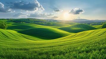 Feld mit Gras und Blumen unter Blau Himmel foto