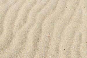 der Natur Eleganz Sand wie ein schön natürlich Motiv, wo Erde Kunst enthüllt ein Tapisserie von zart Muster und warm Farbtöne, verwandeln Strände in zeitlos Meisterwerke foto