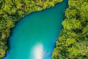 atemberaubend Landschaft Erfahrung das Schönheit von ein heiter Fluss, charmant Luft, und üppig Bäume im ein malerisch Rahmen Das fesselt das Seele und erfrischt das Geist foto