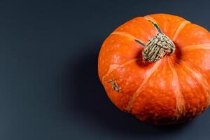 das zauberhaft Schönheit von Kürbisse ein Feier von beschwingt Farben und herbstlich Charme Erfassen das Wesen von Ernte Jahreszeit im jeder Kurve und Kontur foto