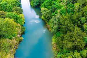 atemberaubend Landschaft Erfahrung das Schönheit von ein heiter Fluss, charmant Luft, und üppig Bäume im ein malerisch Rahmen Das fesselt das Seele und erfrischt das Geist foto